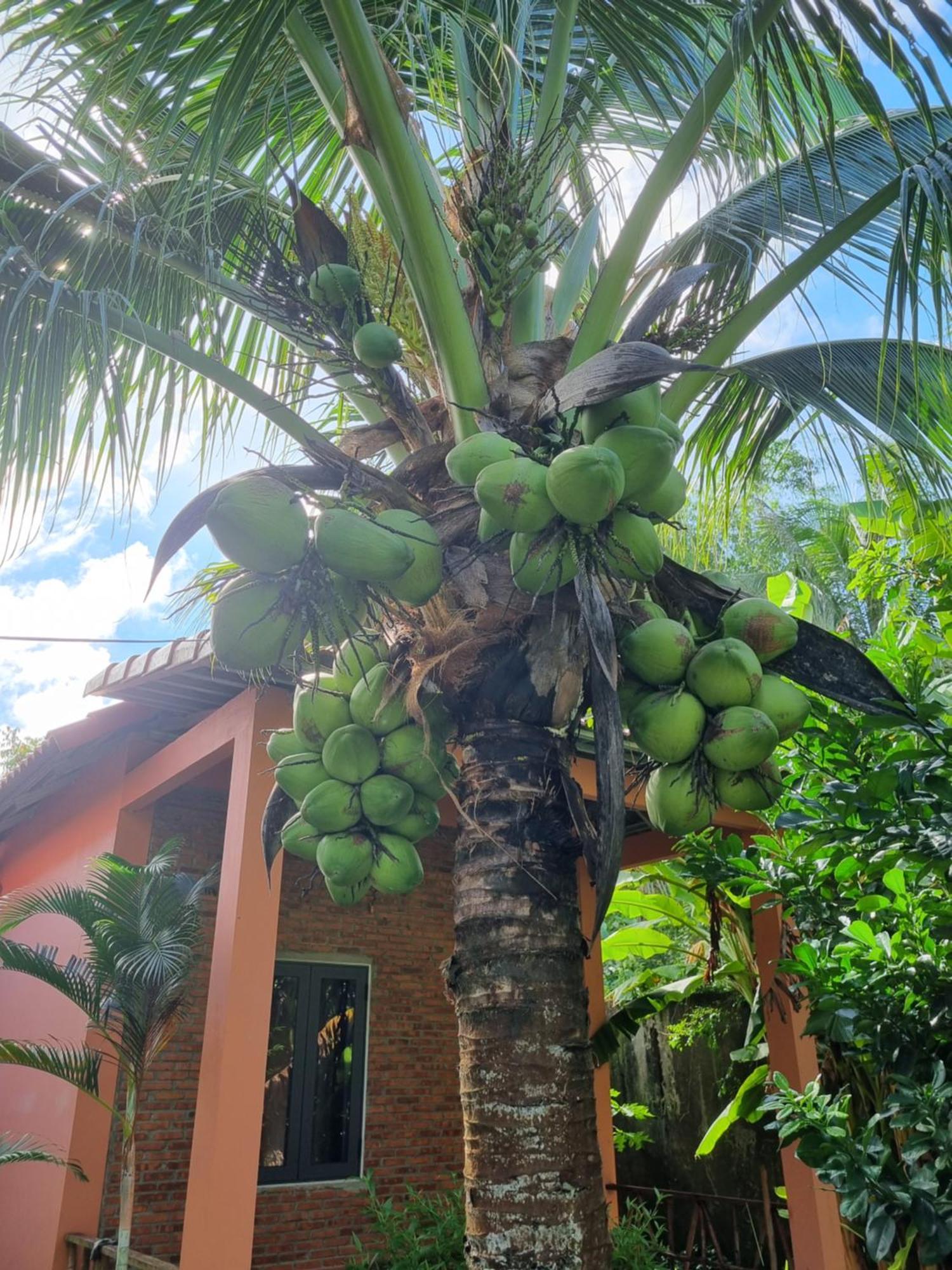 Anan Boutique Bungalows With Private Kitchen Phu Quoc Exterior foto